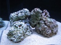 IMG_1230.JPG