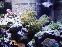 P9190232 [800x600].JPG