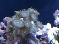 Austin 18 weeks 006 634x476.jpg