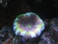 IMG_2477.jpg