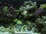 webpics 069.jpg