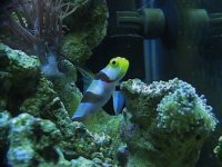 webpics 122.jpg