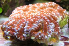 IMG_2314.jpg