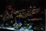 Fts1.jpg