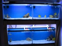 Main Holding System.jpg