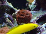 DSCF2032.JPG