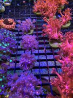 WhatsApp Image 2022-05-06 at 5.44.10 PM (1).jpeg