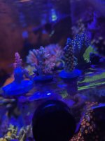 19B18025-717D-4676-9241-DA12067F8E95.jpeg