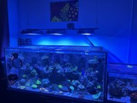 IMG_6557.jpg IMG_6557.jpg