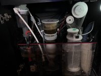 IMG_7323.jpeg IMG_7323.jpeg