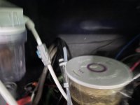 IMG_7325.jpeg IMG_7325.jpeg