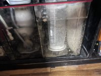 IMG_7324.jpeg IMG_7324.jpeg