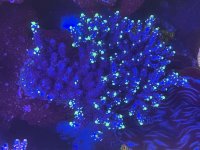 5F6C5D9C-15B0-4DA7-917B-C57A3206E00D.jpeg