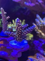 D3C3B3EE-CCD7-4A24-A196-0FAD44F8E0A6.jpeg
