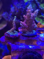 3206E68E-6B9B-4679-AB4E-FA0EEA1EC2B5.jpeg