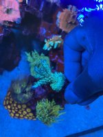 9095512B-A0A8-4789-B34F-725CB376B5DF.jpeg