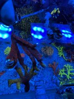 21B514E6-99CE-4772-8E25-BC41B2B6EBEC.jpeg