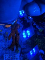329707E7-604A-40F8-AEA4-5E550D5C00B0.jpeg