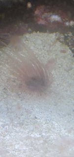 20220526_200031.jpg