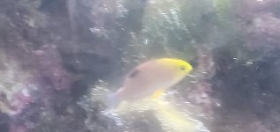 20220526_195835.jpg