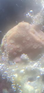 20220526_195718.jpg
