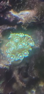 20220526_195703.jpg