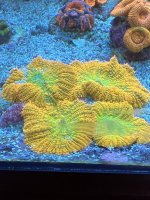8B6E6216-538D-4C38-B8E1-46937882260E.jpeg