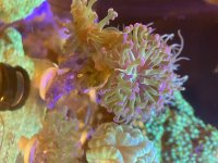 IMG_7334.jpeg