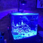 20220612_082829.jpg