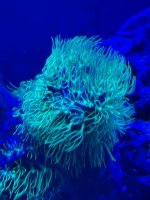IMG_0441.jpg