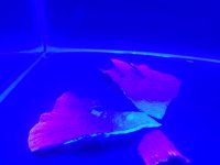 20220614_185743.jpg