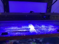 E739B0FD-4307-456D-A8AF-EBEA0106B6D1.jpeg