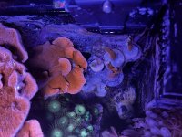 3902B19C-BDF6-4C60-9064-F32C96DFEEF3.jpeg