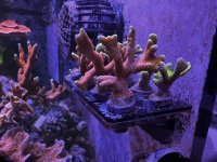 3D4376EC-EFBC-4329-8A9E-0D74F3A5695B.jpeg