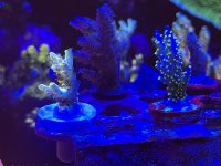 404B081A-EC57-434E-A082-A3A3B90DA7AB.jpeg