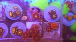 20220803_140156.jpg