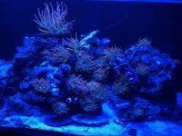 274642-IMG_2206.jpg