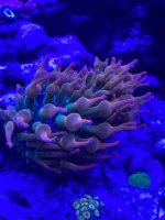 9F801778-1B0B-47AA-8FC0-A0E096F316E1.jpeg