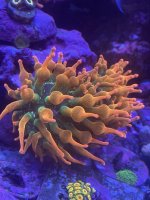 1D661519-A986-4AA6-8522-1AAEA5ED1827.jpeg