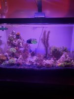 20220909_185356.jpg