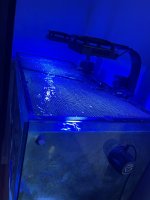 BAFD7280-65C5-4966-910F-2D094FF7556B.jpeg