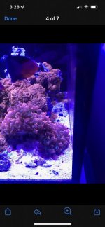 221F0358-4E77-4A03-892B-87422DD718A9.jpeg