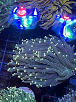 F01FDB12-523B-4987-A6D9-A38841C613F7.jpeg