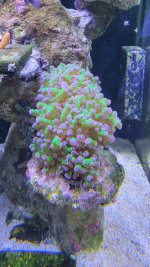 20220928_150940.jpg