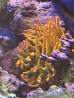 B550960F-E863-4BBB-9AFC-991D9A0C61E9.jpeg