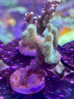 87117EEA-FC51-4329-8FB3-D1BC37904FD2.jpeg