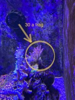 F02569B9-7D25-4EAC-AABE-E1E23708CD11.jpeg