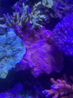 BDF0231B-13F5-4E0A-A2B0-D2B793A817D4.jpeg