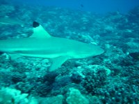 PICT0023.JPG