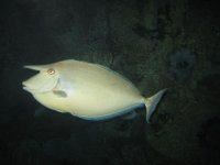 IMG_9308.jpg